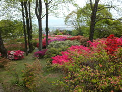 きれいな眺めです