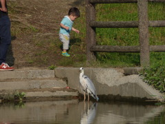 そこあぶなかよ