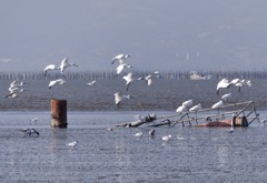 距離がありました
