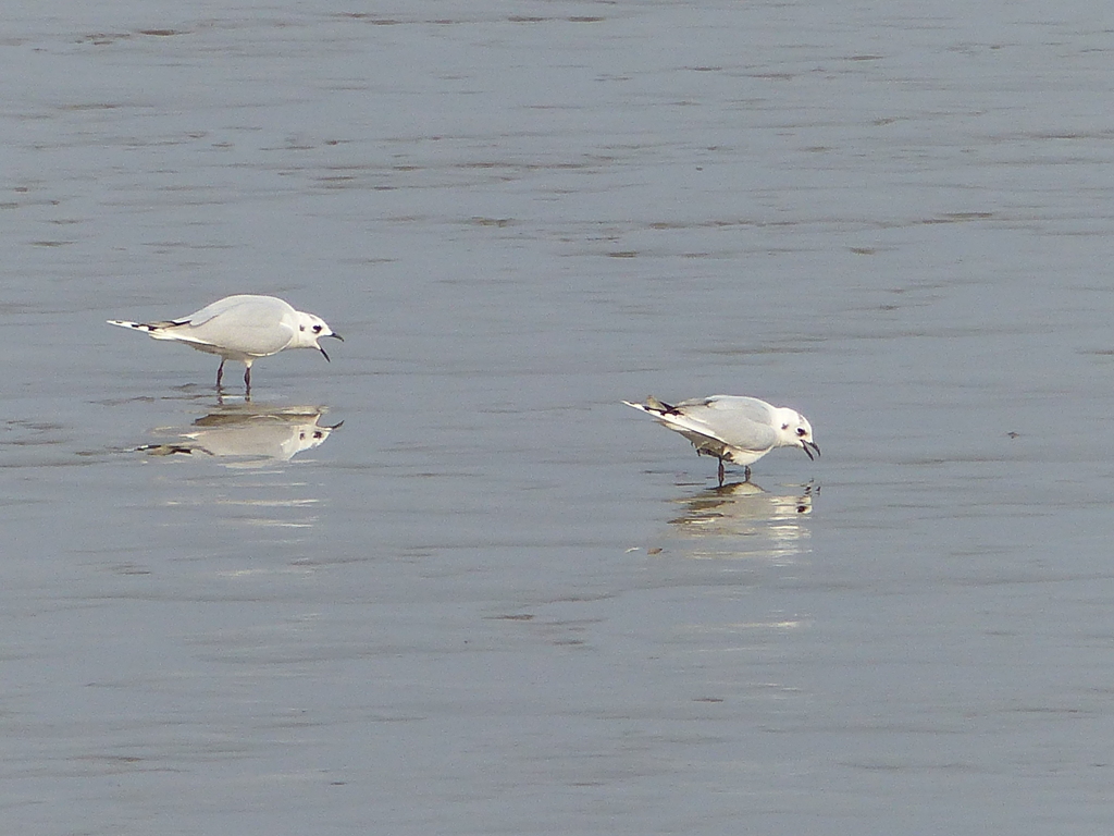 名前は知りませんが
