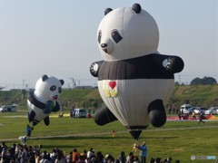 おめでとう、上野パンダ