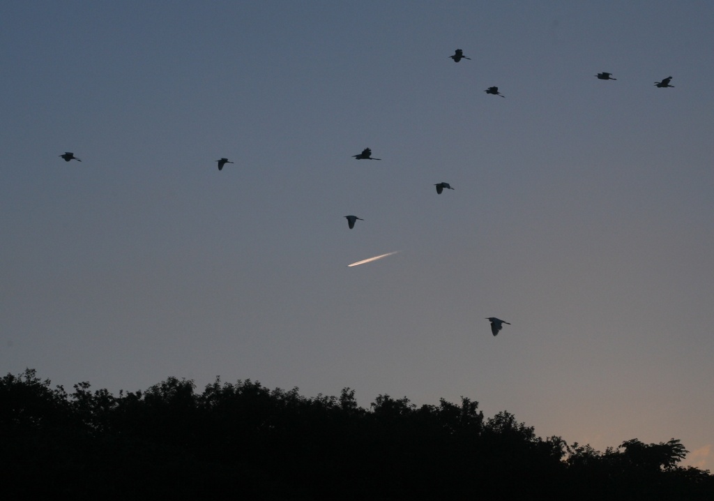 飛行機雲