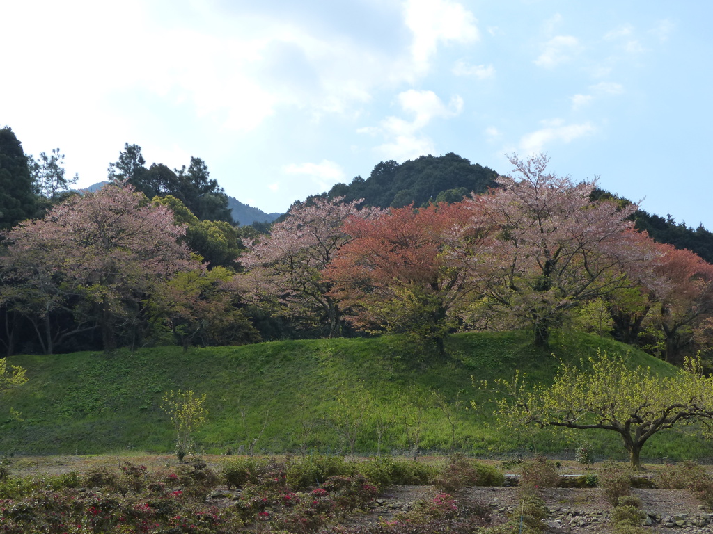グラデーション