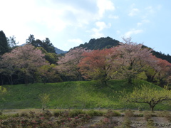 グラデーション