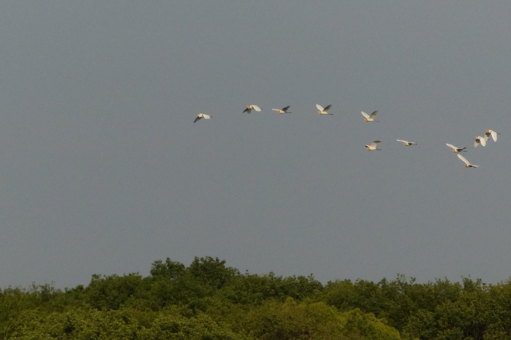 あまちゃん発進