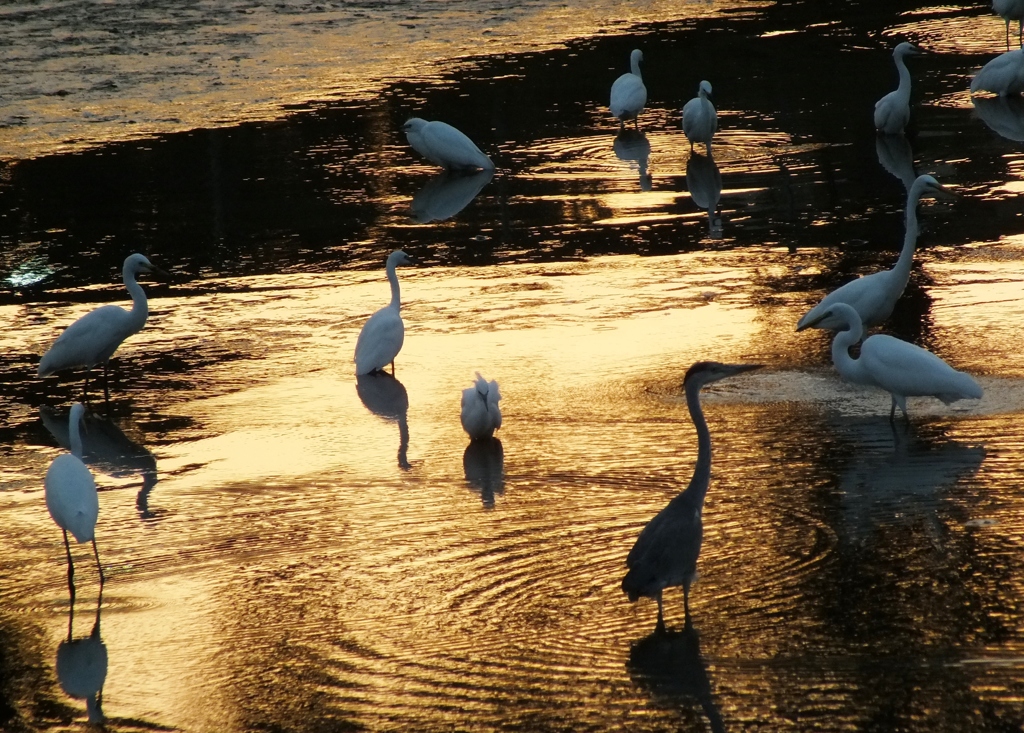 水がなくなった日