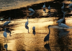 水がなくなった日