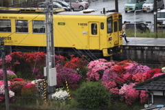 つつじの駅