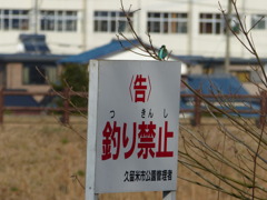釣り糸あぶない