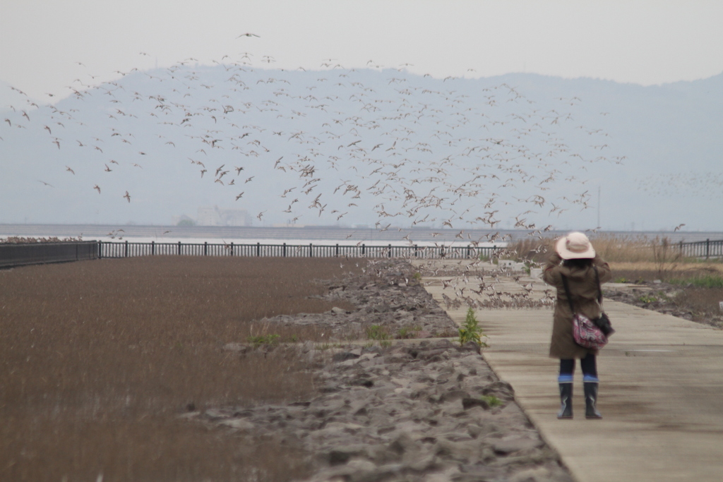 台風弱まってよかった