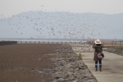 台風弱まってよかった