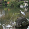 はやく写してね