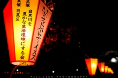 目黒川の夜桜