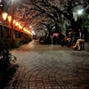 目黒川の夜桜