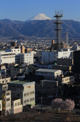 舞鶴城から見る富士山