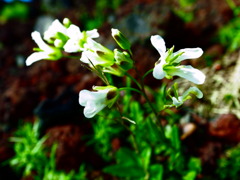 R0018178