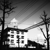 Digital Harinezumi:4