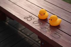 おのみちのあひる