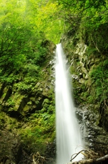 大山の滝2
