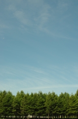 IMGP0371_R