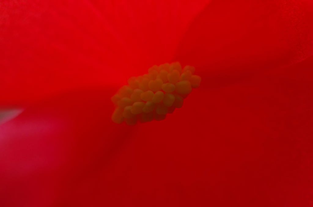 花3。