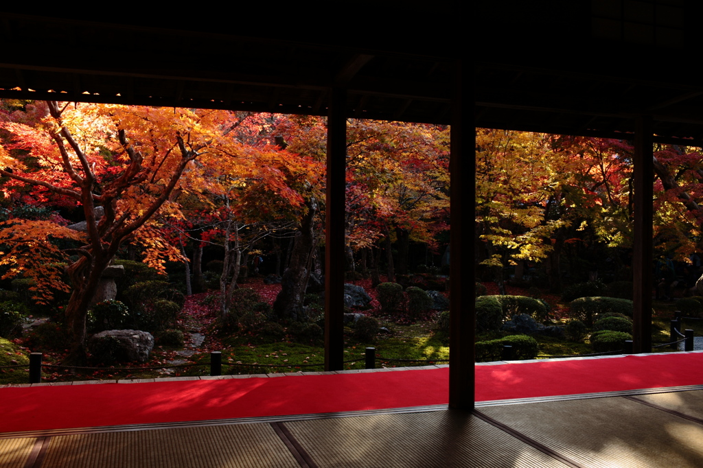 京都紅葉３