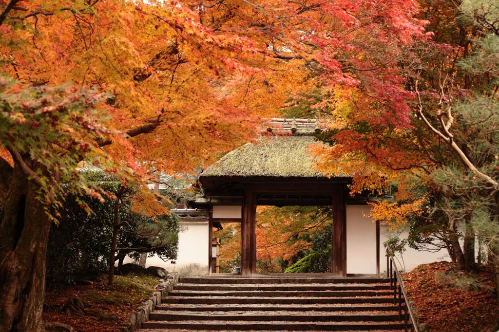 紅の古刹