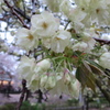 KISOU3