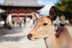 眼差し