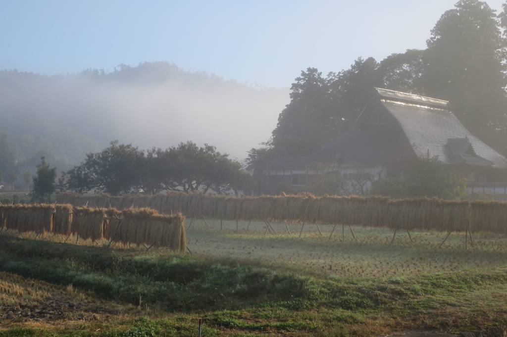 里山の朝