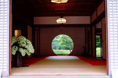 北鎌倉　明月院
