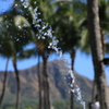 water & Diamondhead