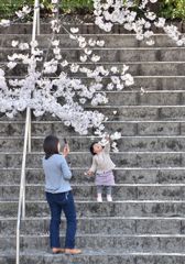 春の思い出