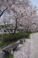春きたり