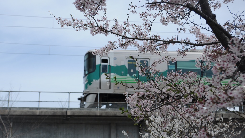 春きたり