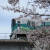 春きたり