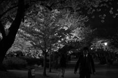桜のように散るのもいいかも