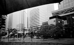 雨