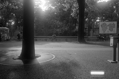 上野Zoo 2012/8 2