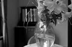 table photo #03