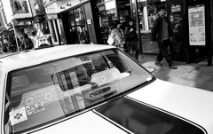 ヨコハマ Taxi