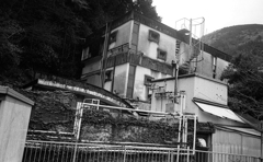 旅情6