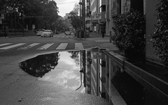 puddle