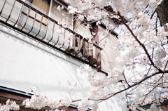 diary 2014/4/1 3
