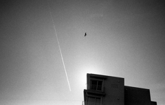 sky