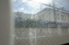 diary 2014/2/15