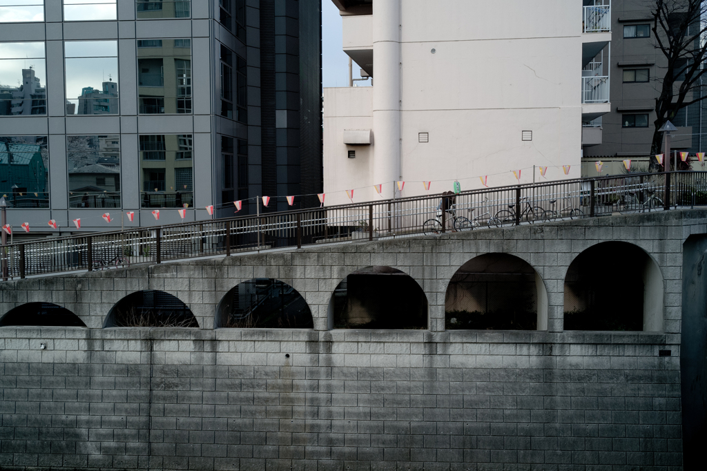 桜情景2