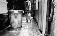 お前、つまらん