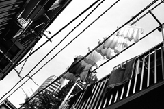 街景
