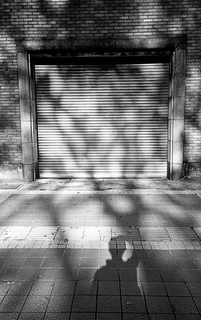 shutter